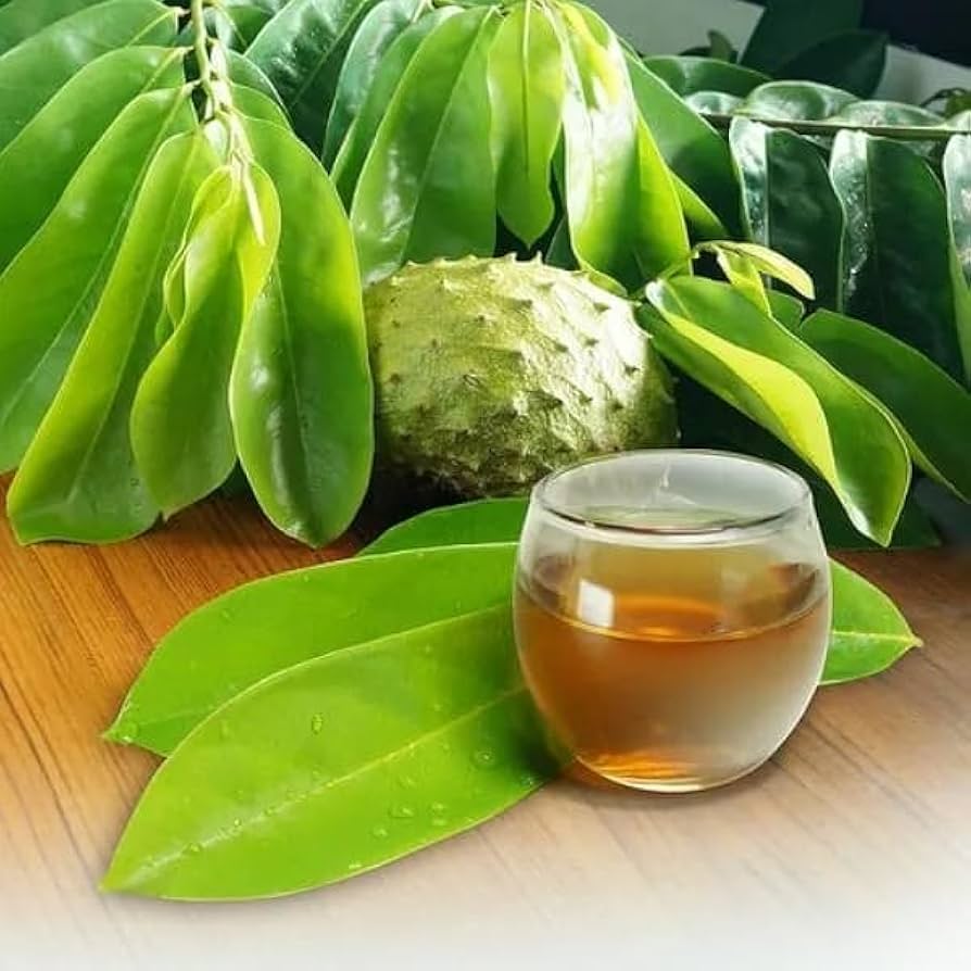 Dried sour sop leaves