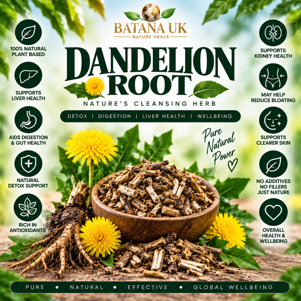 Dandelion root